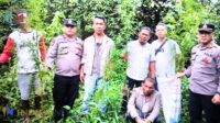 Cover Berita Info Sumut 24_20261008_090939_0000